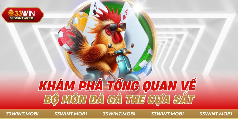 Khám phá tổng quan về bộ môn đá gà tre cựa sắt